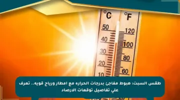 طقس السبت: هبوط مفاجئ بدرجات الحرارة مع أمطار ورياح قوية.. تعرف على تفاصيل توقعات الأرصاد